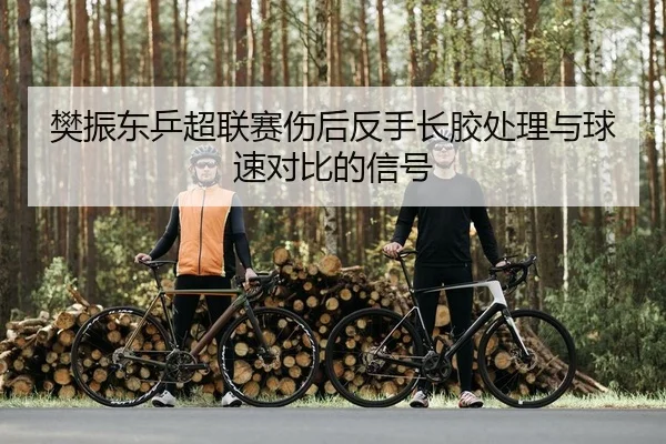 樊振东乒超联赛伤后反手长胶处理与球速对比的信号